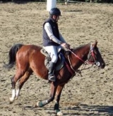  En la escuela de equitación 