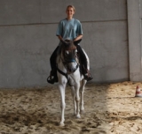  En la escuela de equitación 