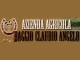 Monta Western