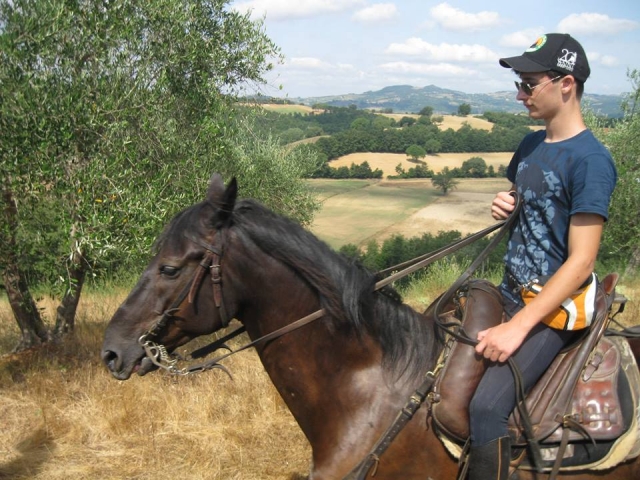 Subir uno de nuestros caballos de Maremma 