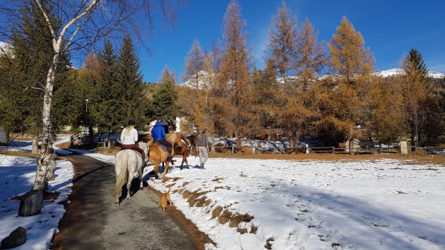  caballos en la nieve 