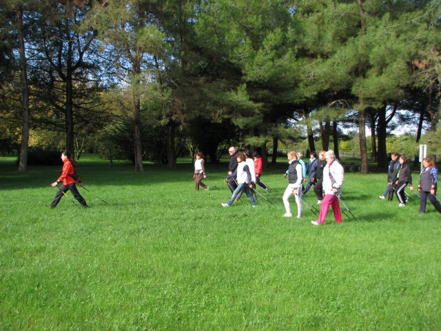  Lección del curso básico 