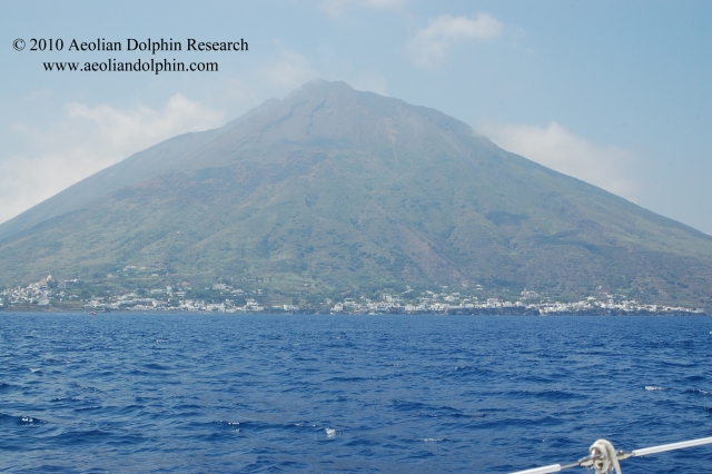  Stromboli - 999 - Logotipo de Investigación de delfines eolios