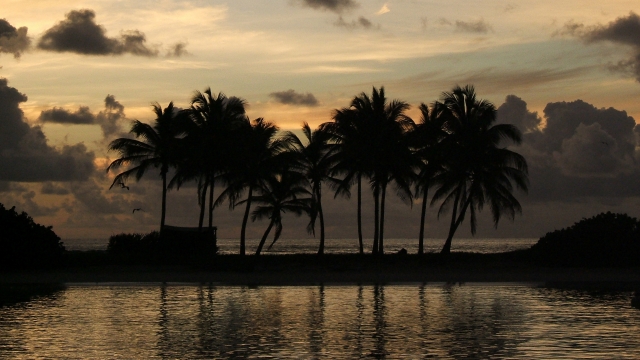  Precioso atardecer caribeño 