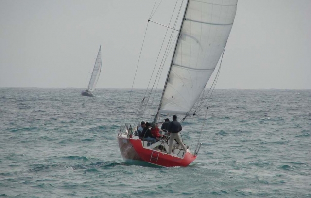  Participación en regamarras 