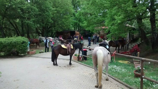  11169665_846243312078977_4248038933364389353_o (1). jpg 