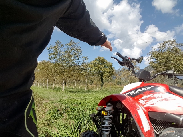  Cuatrimotos y naturaleza 