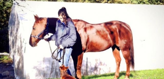  ¡Venga a visitarnos!