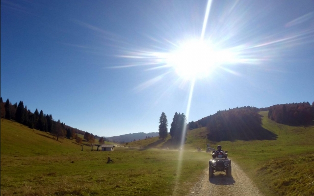  un lindo paseo en un día soleado 