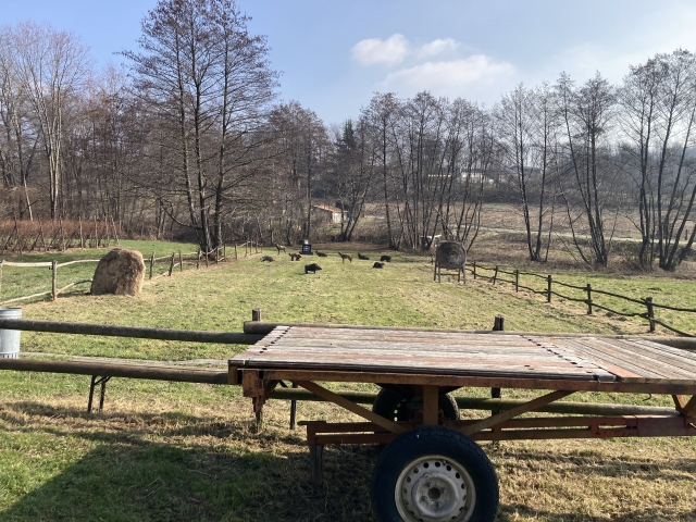 Nuestros espacios verdes 