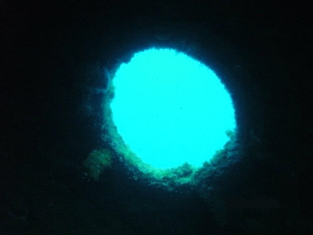 Las maravillas del fondo marino 