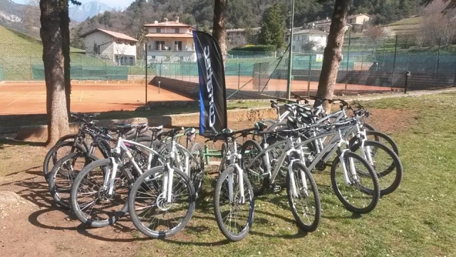  Nuestras bicicletas de cerro le están esperando 