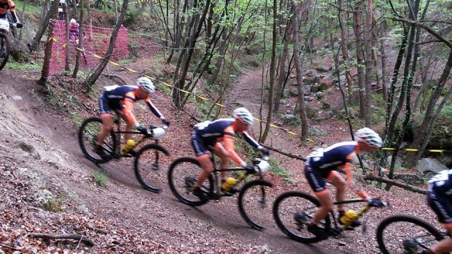  Ciclismo en el bosque 