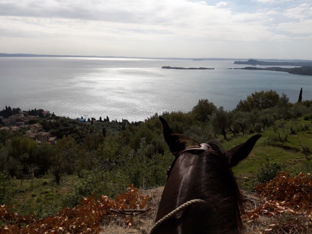 A caballo 