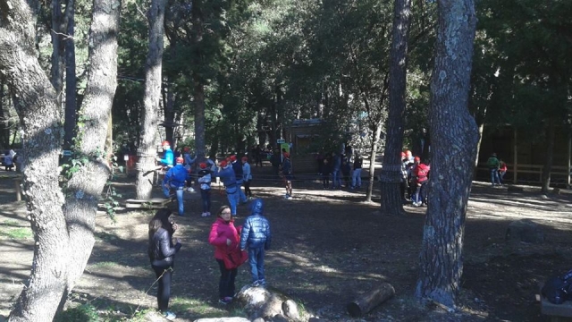 campo 