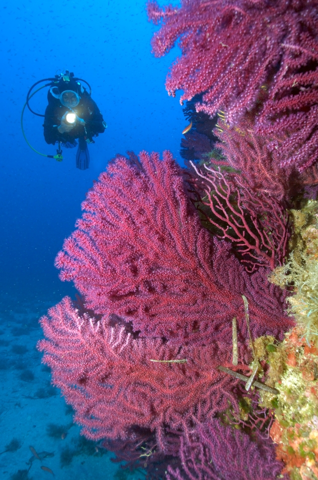  Secca Catarratle 