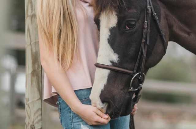  emociones con el caballo 