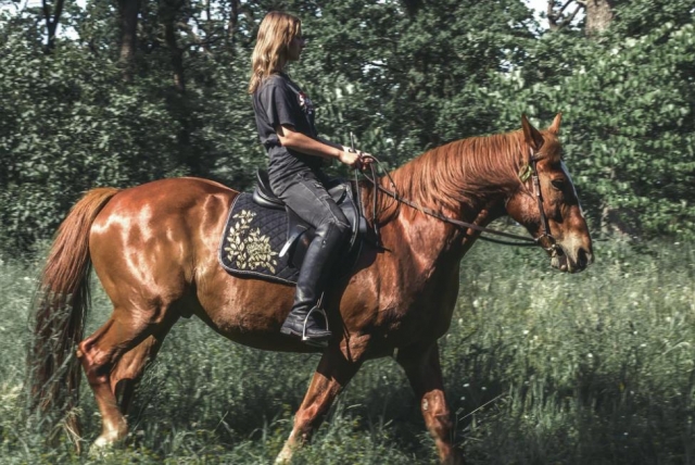  cabalgamarras 