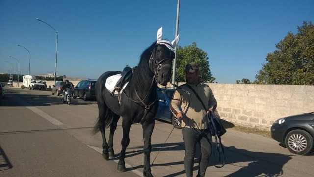  Un paseo 