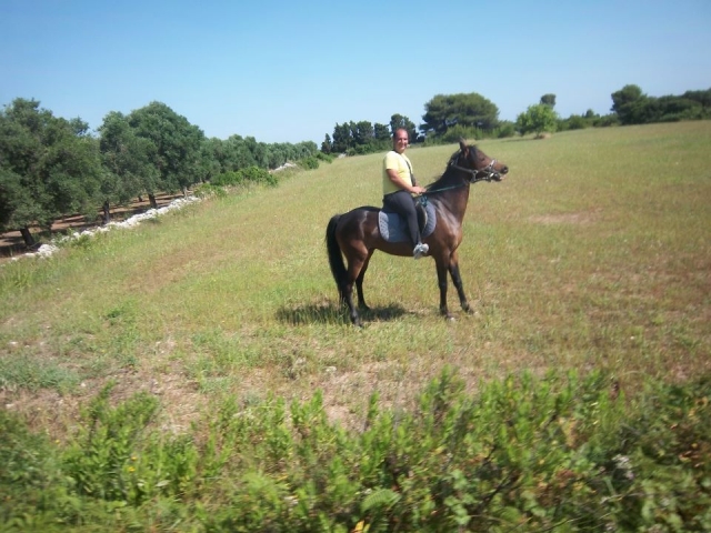  Paseo en el green 