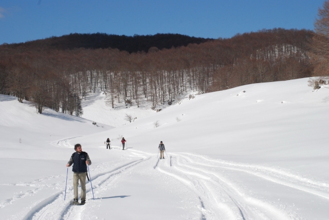 Excursiones con raquetas de nieve