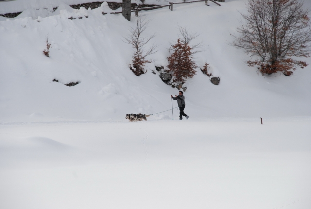  Skijorinig 