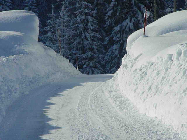  Pista de esquí de fondo en Falcade 