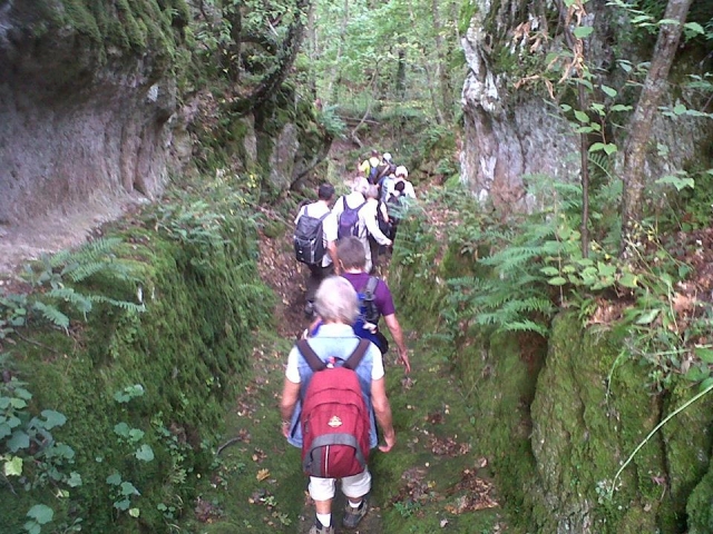  todos en fila en el montañas