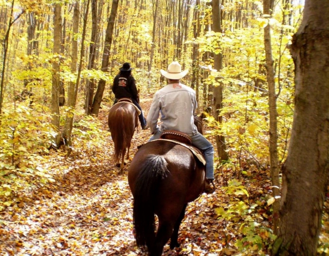  cabalgamarras en el monle Amiamarra 
