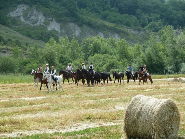  caminamarras en grupo 