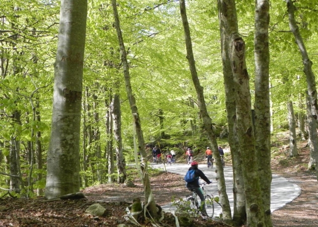  en buici sull'ammiamarra 