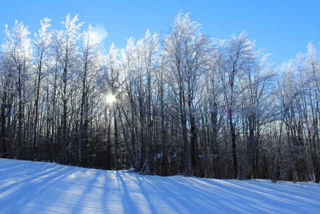  Doganaccia en invierno 