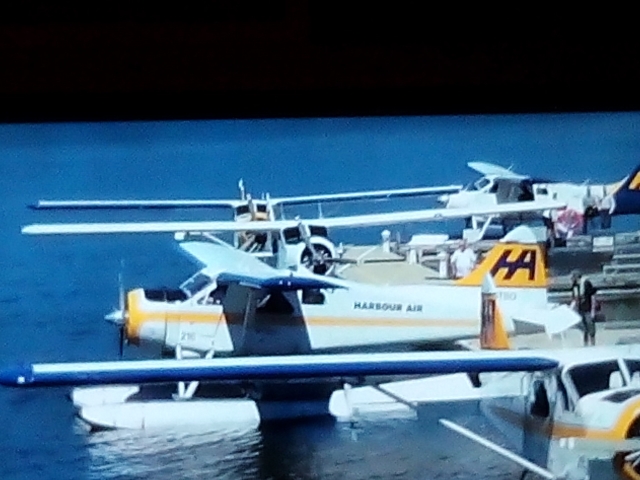  SEAPLANTE 