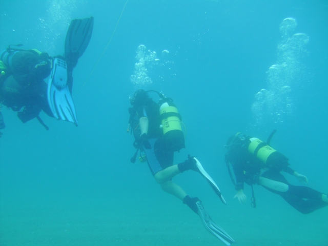  cursos de buceo camicrema submarina 