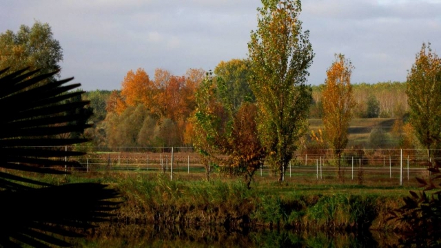  paisaje 