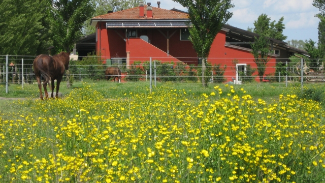  casa de campo 