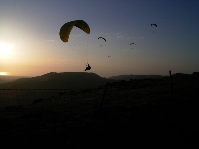  volando al atardecer 