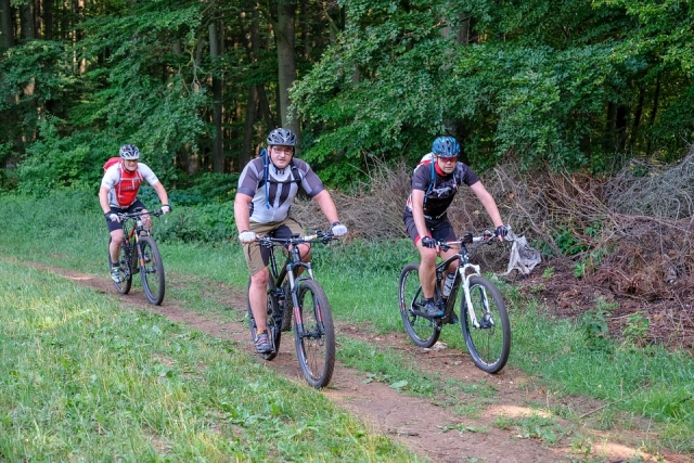  BTT 