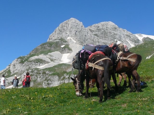 Trekking con mulas 
