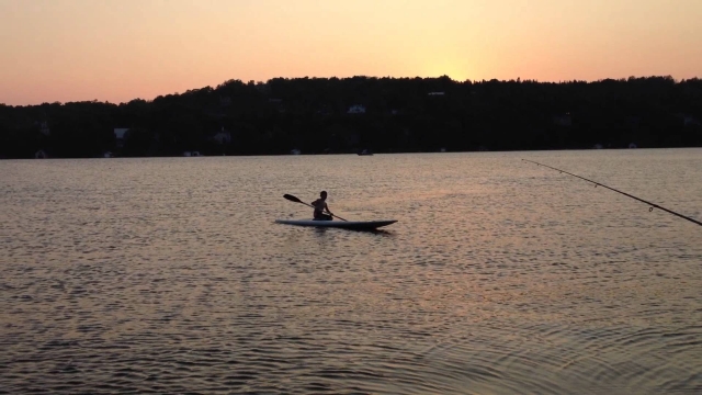 Descubriendo ciervos en un ¡canoa! 