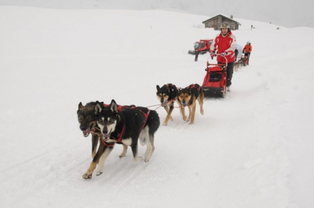  Sleddog a gran altitud