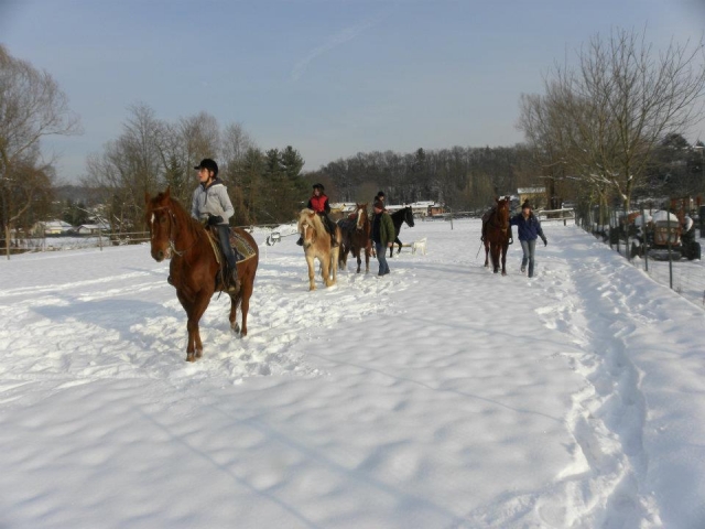 Un inolvidable paseo a caballo 