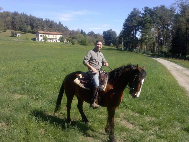  Un bonito caballo al galope 