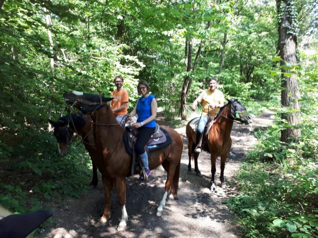  Todo a caballo 
