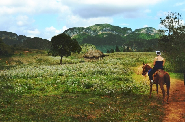  Paseo a caballo 