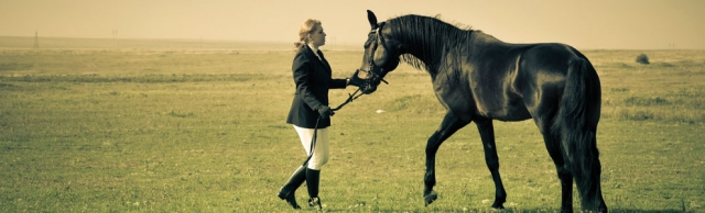  Un día en el establo 