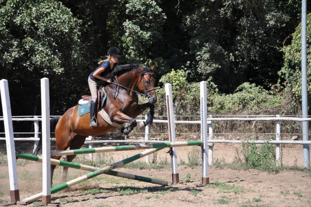  En el campo 