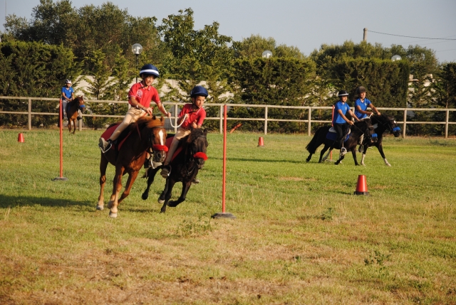  pony school 