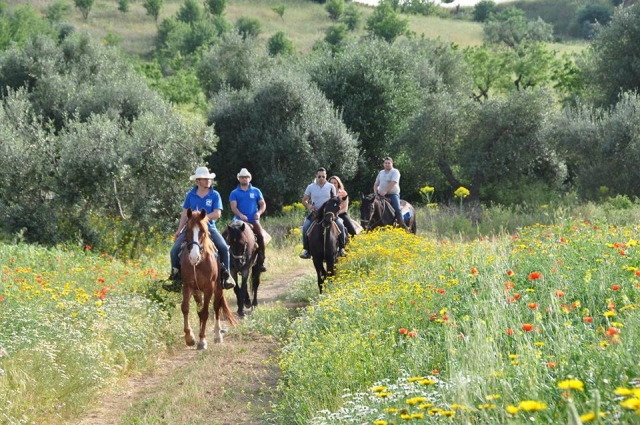  caminamarras 