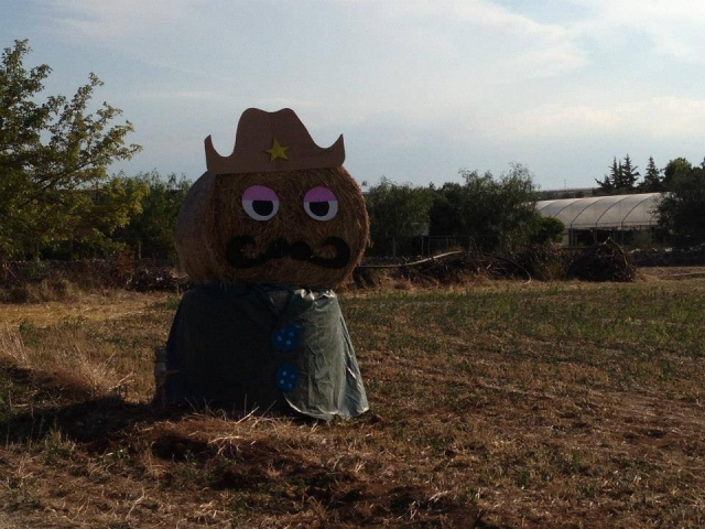  rancho 